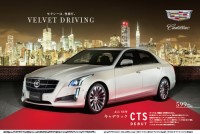 http://www.markhigashino.com/files/gimgs/th-14_cadillac_CTS_2014.jpg