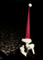 http://www.markhigashino.com/files/gimgs/th-6_6_050-xmas-card-w-red-hat.jpg